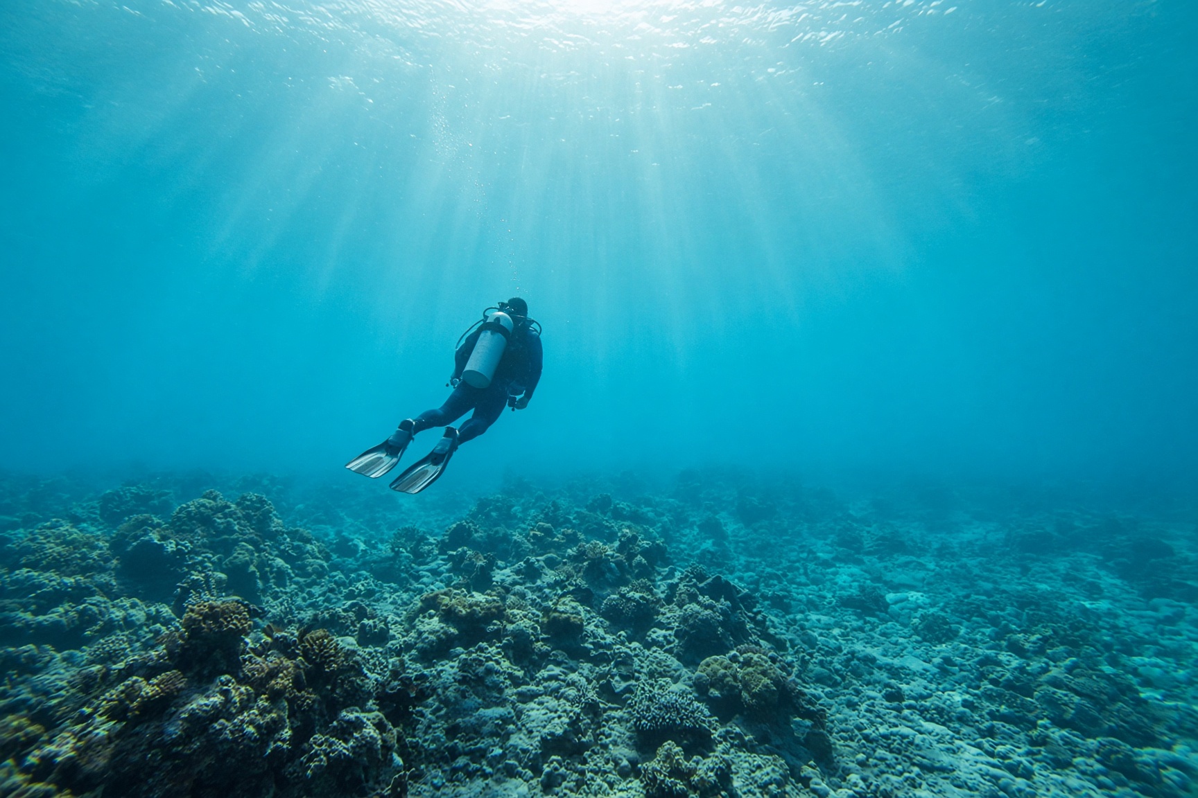 Placeholder for a dive